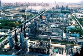 新疆乌鲁木齐石油化工总厂